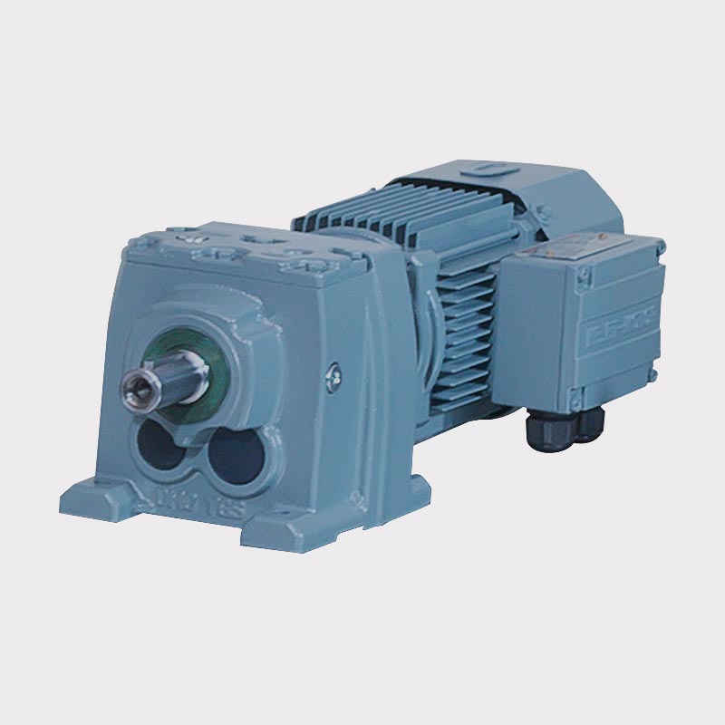 D Series Solid Shaft Helical Variable Speed Gear Motor with Brake