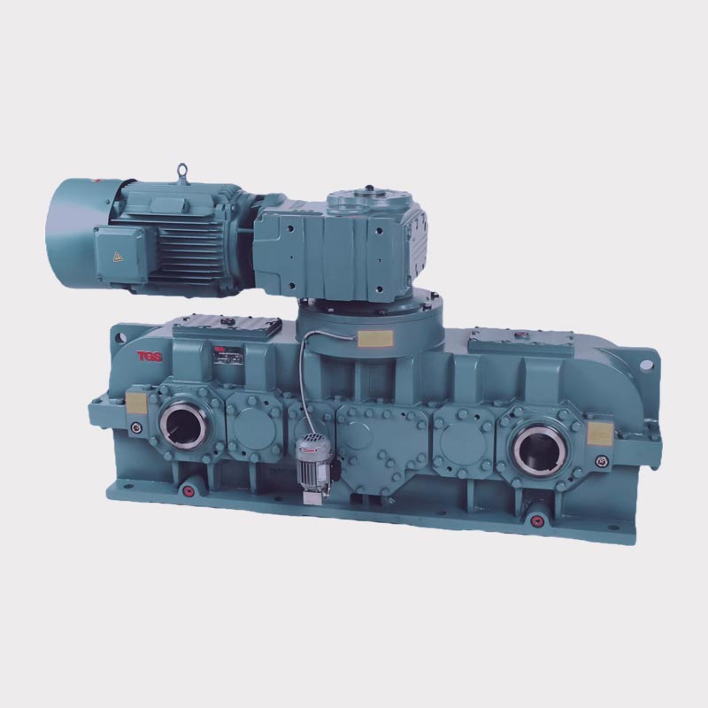Other Cusomized Gear Motor